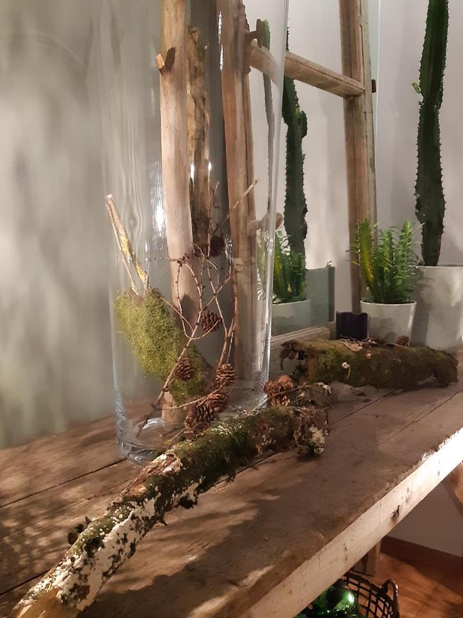 Chambres D'Hotes Herbes Folles Steenwerck Exteriör bild